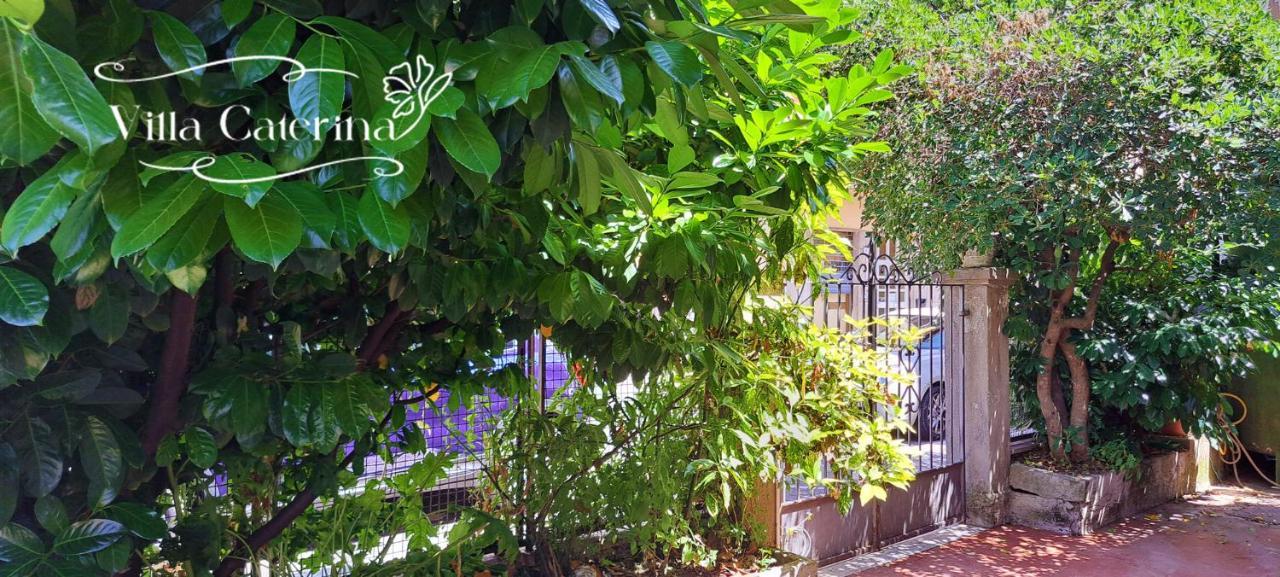 Villa Caterina Fiuggi Dış mekan fotoğraf